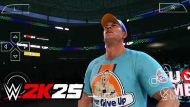 WWE 2K25 PPSSPP with the WWE 2K25 logo