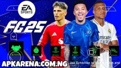EA Sports FC 25 PPSSPP