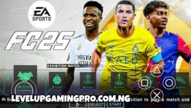 FC 25 PSP ISO image