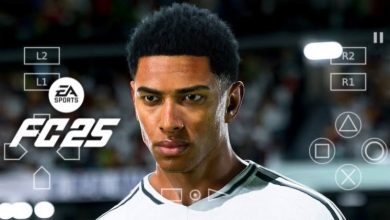 FC 25 PS2 ISO, FC 25 PS2